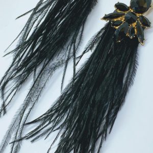 Black feathers - Image 1