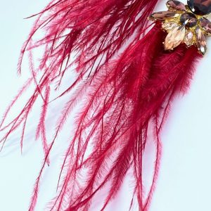 Red feathers - Image 1